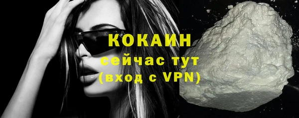крисы Баксан