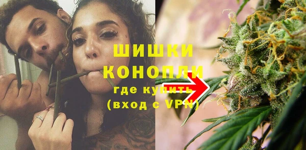 крисы Баксан