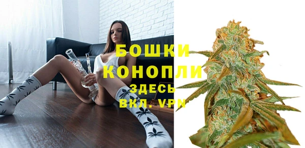 круглые Белокуриха