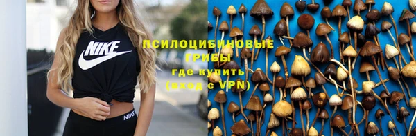 гидра Балабаново