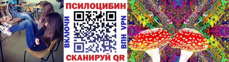 что такое   Коммунар  Галлюциногенные грибы Psilocybine cubensis 